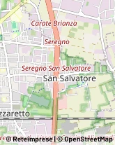 Viale della Repubblica, 174,20831Seregno