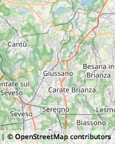 Trasporto Disabili,20821Monza e Brianza