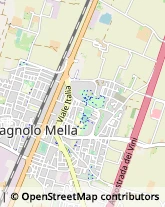 Viale Italia, 32,25021Bagnolo Mella