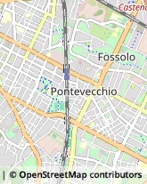 Via Degli Orti, 44,40137Bologna