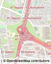 Via Enrico Ferri, 001,00173Roma