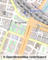 Viale Brigata Bisagno, 2 - Int.10,16129Genova