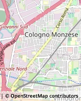 Viale Emilia, 8,20093Cologno Monzese