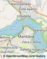 Via Pietro Torelli, 16,46100Mantova