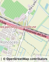 Trasporti Refrigerati,42124Reggio nell'Emilia