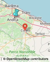 Asili Nido,76123Barletta-Andria-Trani