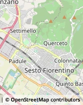 Articoli Sportivi - Dettaglio,50041Firenze