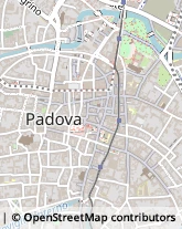 Via Zabarella, 64,35121Padova