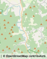 Strada Provinciale delle Pinete, 32,53010Monticiano