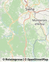 Articoli Sportivi - Dettaglio,53018Siena