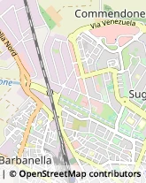 Viale Senegal, 3,58100Grosseto