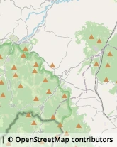 Alimentari,61040Pesaro e Urbino