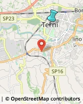 Palestre e Centri Fitness,05100Terni