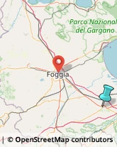 Agenzie Investigative,71042Foggia