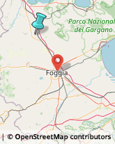 Agenzie Investigative,71016Foggia