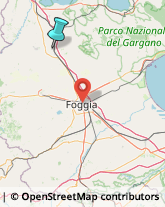 Agenzie Investigative,71016Foggia