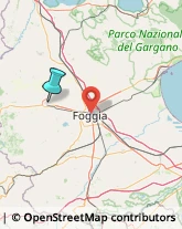 Agenzie Investigative,71036Foggia