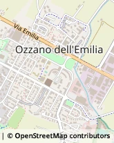 Via Alcide De Gasperi, 1,40064Ozzano dell'Emilia