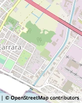 Viale Domenico Zaccagna, 38/A,54033Carrara