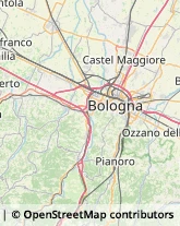 Ortofrutticoltura,40013Bologna