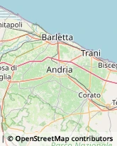 Agenzie Marittime,76121Barletta-Andria-Trani