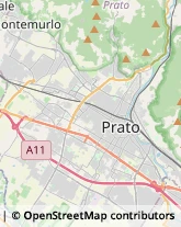 Viale della Repubblica, 129,59100Prato