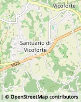 Piazza Carlo Emanuele I, 57,12080Vicoforte