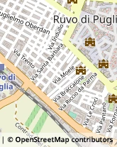 Via De Feudis, 14,70037Ruvo di Puglia