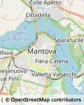 Carte di Credito - Servizi,46100Mantova