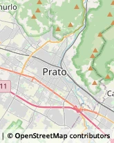 Pelletterie - Dettaglio,59100Prato