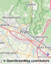 Pelletterie - Dettaglio,59100Prato