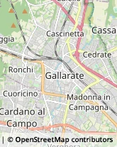 Via Michelangelo Buonarroti, 17,21013Gallarate