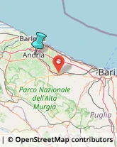 Articoli per Ortopedia,76123Barletta-Andria-Trani