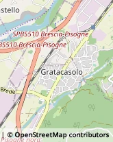 Autotrasporti,25055Brescia