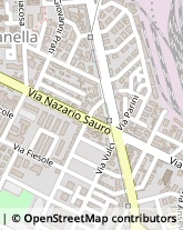 Via Nazario Sauro, 144,58100Grosseto