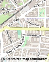 Via F. Alcarotti, 16-18,28100Novara