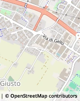 Via San Giusto, 11,59100Prato