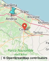 Bevande Analcoliche,70031Barletta-Andria-Trani