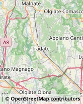 Autotrasporti,21050Varese