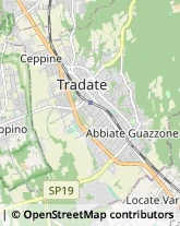 Autotrasporti,21049Varese