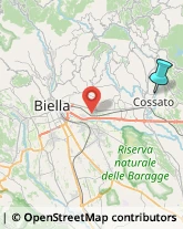 Palestre e Centri Fitness,13836Biella