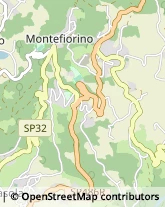 Via Giuseppe Mazzini, 29,41045Montefiorino