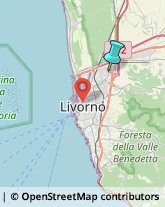 Trasporti Eccezionali,57017Livorno