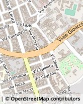 Viale Vittorio Alfieri, 2,73100Lecce