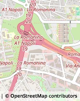 Via Orazio Raimondo, 19,00133Roma