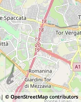 Divani e Poltrone - Dettaglio,00118Roma