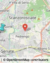 Consulenza Informatica,24020Bergamo