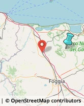 Asili Nido,71014Foggia