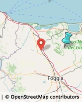 Asili Nido,71014Foggia