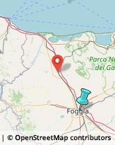 Asili Nido,71121Foggia